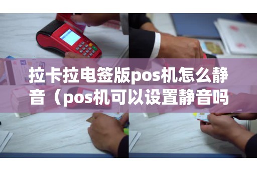 拉卡拉电签版pos机怎么静音（pos机可以设置静音吗）