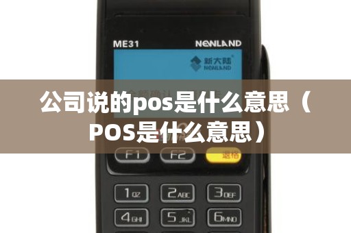 公司说的pos是什么意思（POS是什么意思）