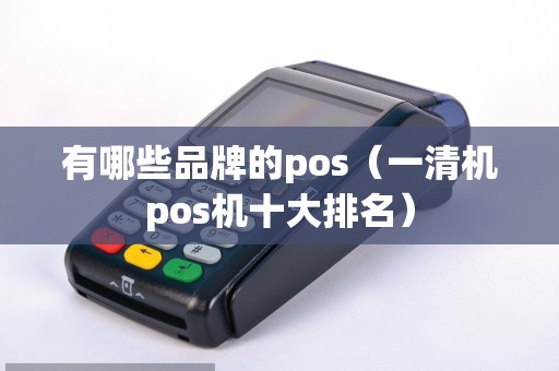 有哪些品牌的pos（一清机pos机十大排名）