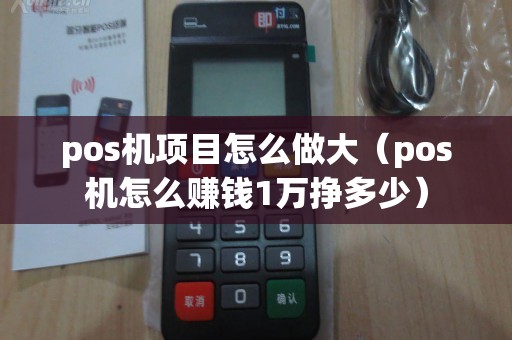 pos机项目怎么做大（pos机怎么赚钱1万挣多少）