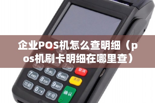 企业POS机怎么查明细（pos机刷卡明细在哪里查）
