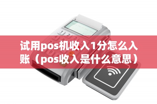 试用pos机收入1分怎么入账（pos收入是什么意思）