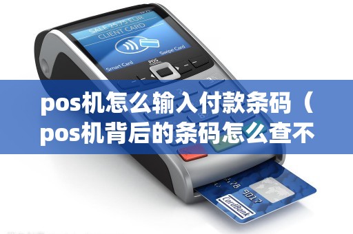 pos机怎么输入付款条码（pos机背后的条码怎么查不到）