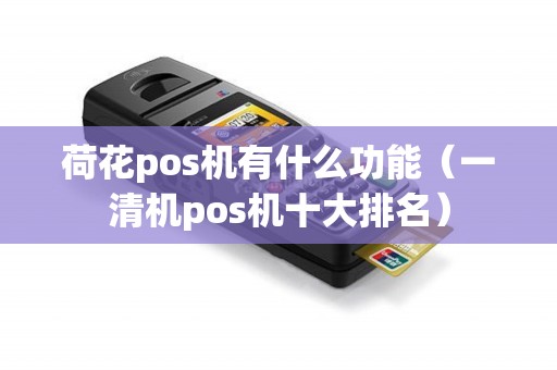 荷花pos机有什么功能（一清机pos机十大排名）