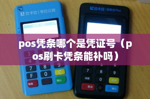 pos凭条哪个是凭证号（pos刷卡凭条能补吗）