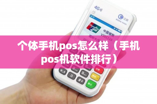 个体手机pos怎么样（手机pos机软件排行）
