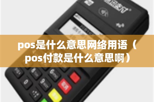 pos是什么意思网络用语（pos付款是什么意思啊）