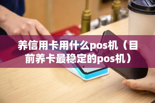 养信用卡用什么pos机（目前养卡最稳定的pos机）