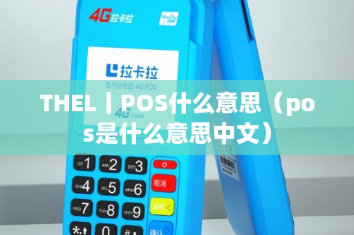 THEL丨POS什么意思（pos是什么意思中文）
