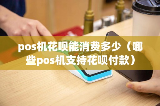 pos机花呗能消费多少（哪些pos机支持花呗付款）