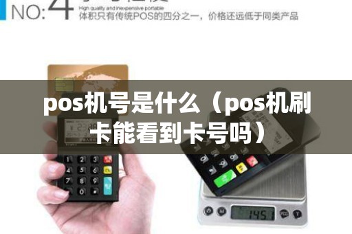 pos机号是什么（pos机刷卡能看到卡号吗）