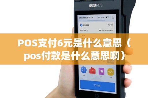 POS支付6元是什么意思（pos付款是什么意思啊）