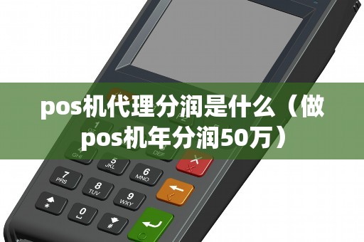pos机代理分润是什么（做pos机年分润50万）