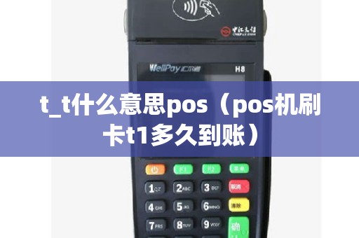t_t什么意思pos（pos机刷卡t1多久到账）
