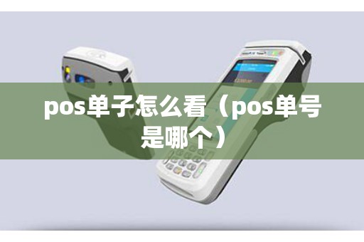 pos单子怎么看（pos单号是哪个）
