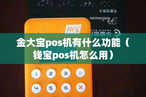 金大宝pos机有什么功能（钱宝pos机怎么用）