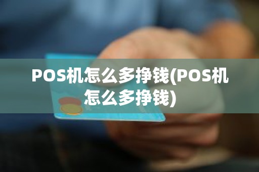POS机怎么多挣钱(POS机怎么多挣钱)