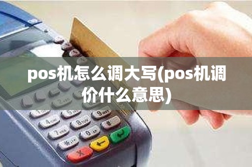 pos机怎么调大写(pos机调价什么意思)