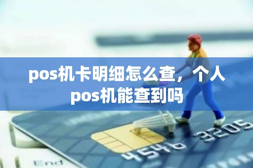 pos机卡明细怎么查，个人pos机能查到吗