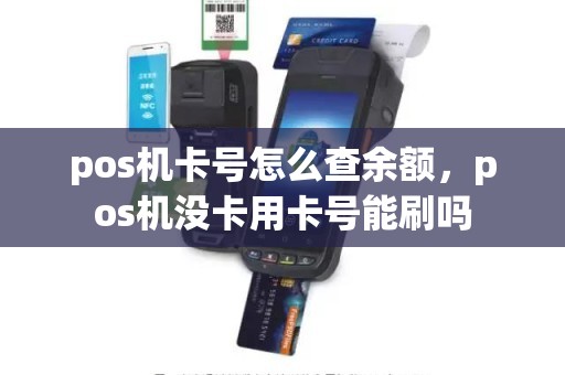 pos机卡号怎么查余额，pos机没卡用卡号能刷吗