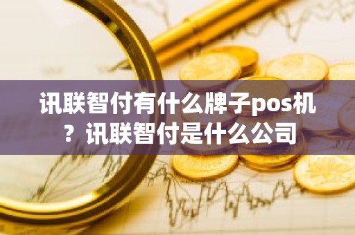 讯联智付有什么牌子pos机？讯联智付是什么公司