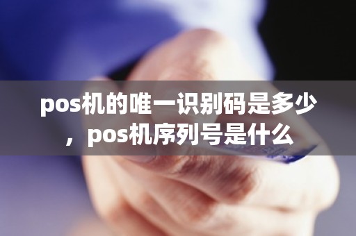 pos机的唯一识别码是多少，pos机序列号是什么