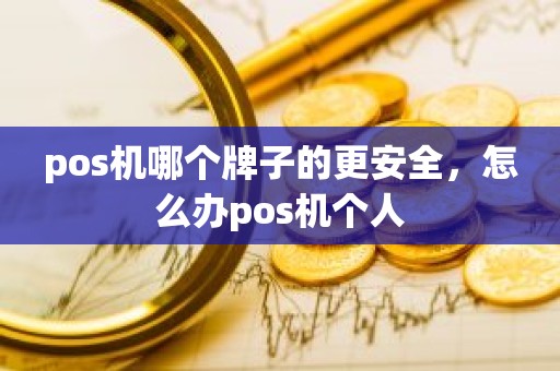 pos机哪个牌子的更安全，怎么办pos机个人