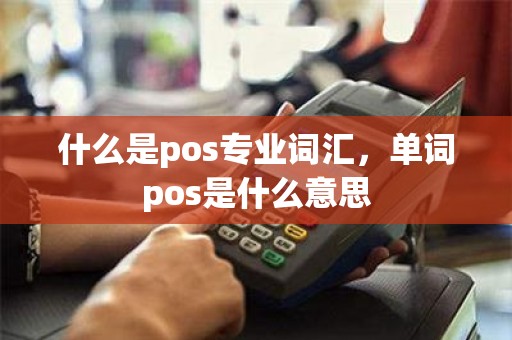 什么是pos专业词汇，单词pos是什么意思