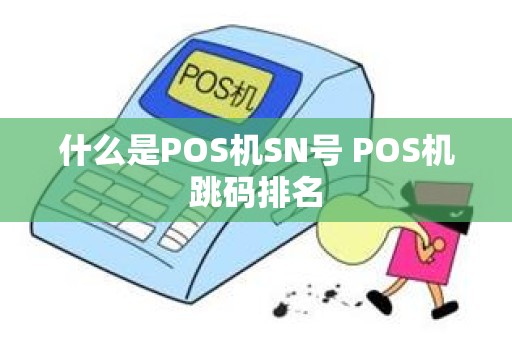 什么是POS机SN号 POS机跳码排名