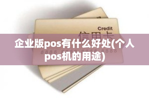 企业版pos有什么好处(个人pos机的用途)