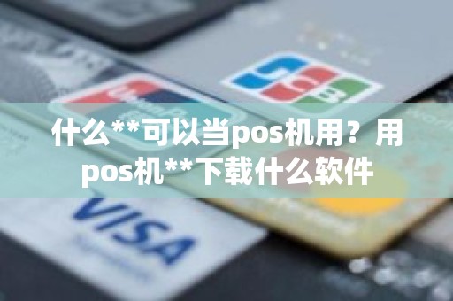 什么**可以当pos机用？用pos机**下载什么软件