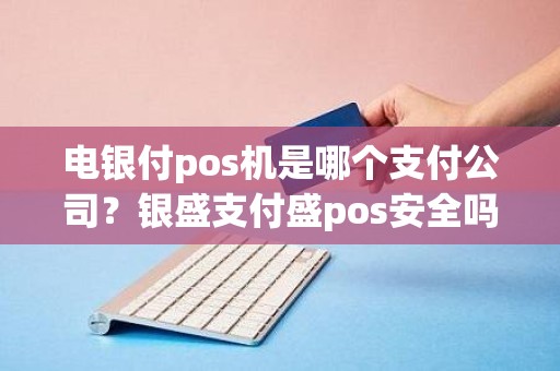 电银付pos机是哪个支付公司？银盛支付盛pos安全吗