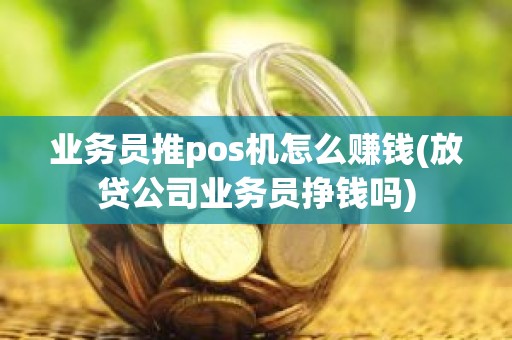 业务员推pos机怎么赚钱(放贷公司业务员挣钱吗)