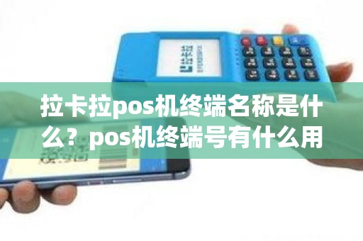 拉卡拉pos机终端名称是什么？pos机终端号有什么用