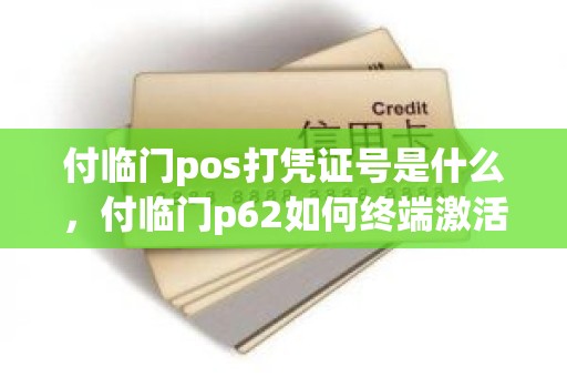 付临门pos打凭证号是什么，付临门p62如何终端激活