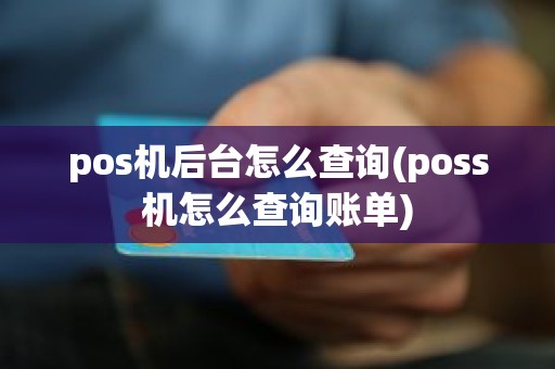 pos机后台怎么查询(poss机怎么查询账单)