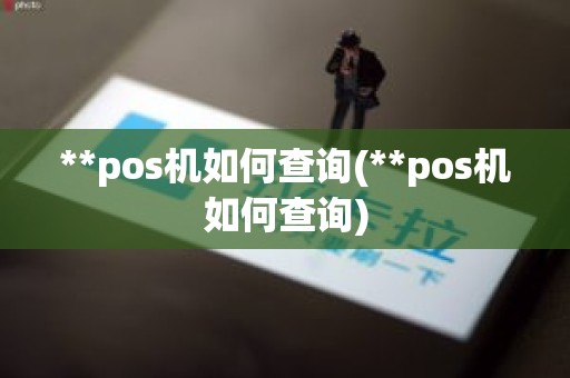 **pos机如何查询(**pos机如何查询)