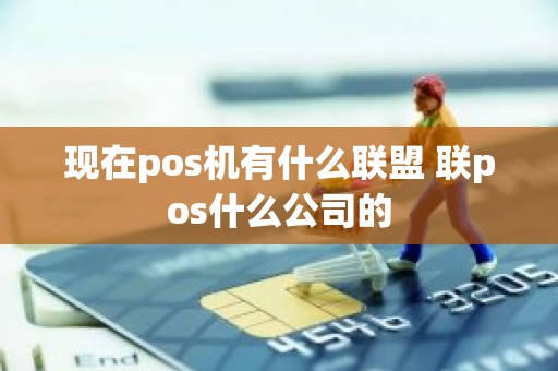 现在pos机有什么联盟 联pos什么公司的