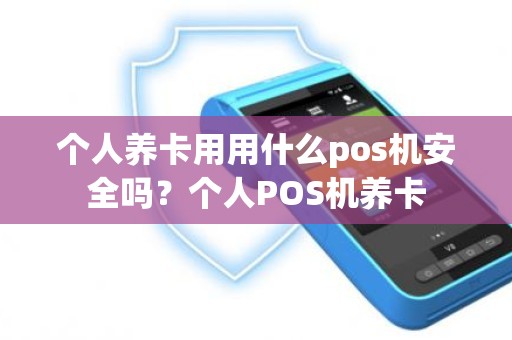 个人养卡用用什么pos机安全吗？个人POS机养卡