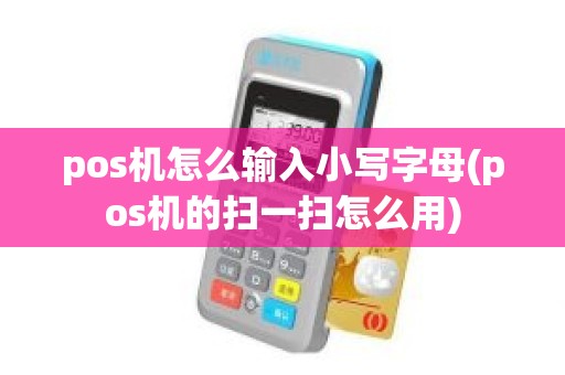 pos机怎么输入小写字母(pos机的扫一扫怎么用)