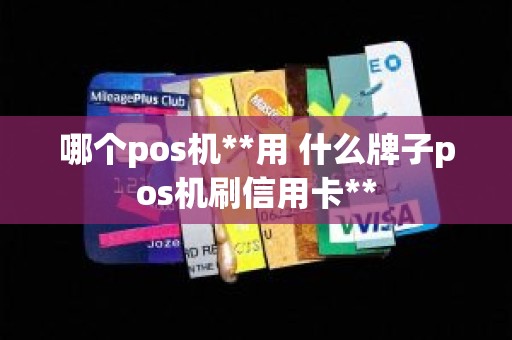 哪个pos机**用 什么牌子pos机刷信用卡** 哪个pos机**用 什么牌子pos机刷信用卡**