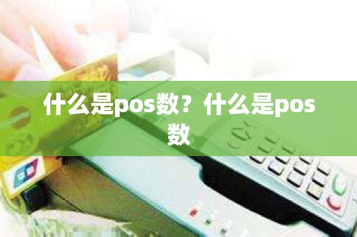 什么是pos数？什么是pos数