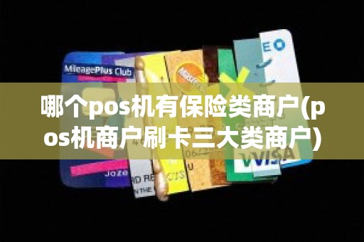 哪个pos机有保险类商户(pos机商户刷卡三大类商户)