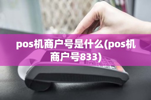 pos机商户号是什么(pos机商户号833)