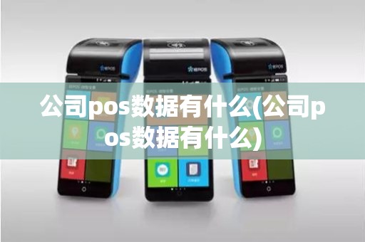 公司pos数据有什么(公司pos数据有什么)