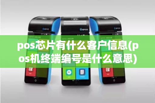 pos芯片有什么客户信息(pos机终端编号是什么意思)