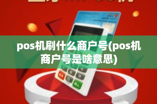 pos机刷什么商户号(pos机商户号是啥意思)