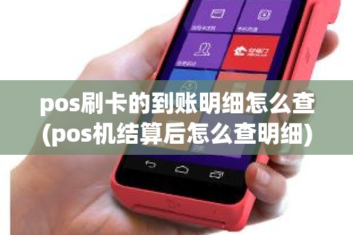 pos刷卡的到账明细怎么查(pos机结算后怎么查明细)