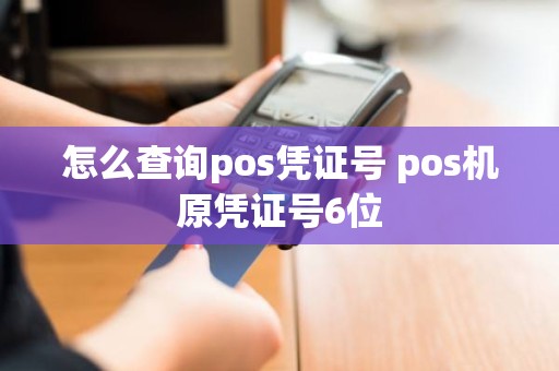 怎么查询pos凭证号 pos机原凭证号6位