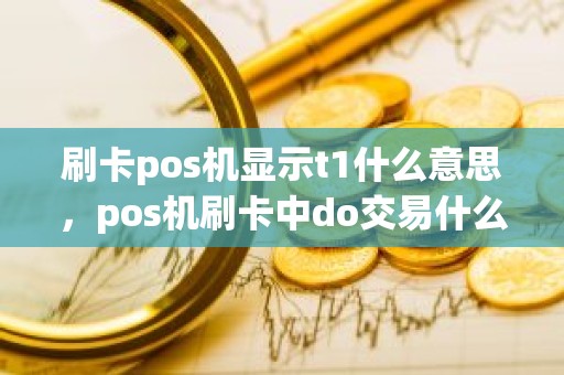 刷卡pos机显示t1什么意思，pos机刷卡中do交易什么意思